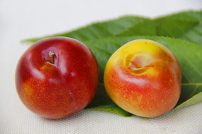 �ʹ������ز�