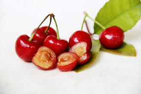 ����ӣ��