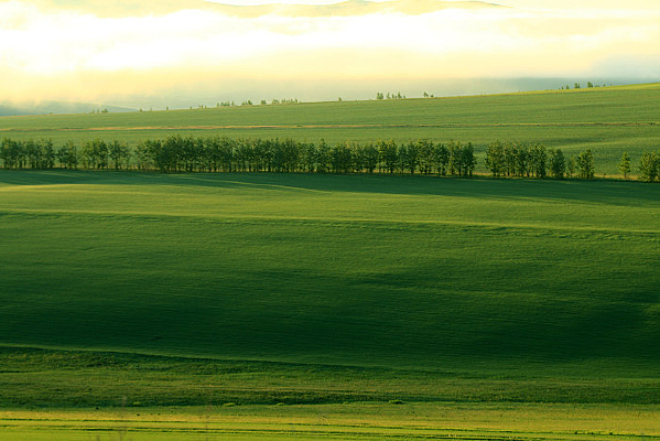  ��ɫԭҰ�������