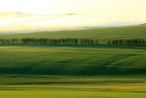 ԭҰ�����峿����