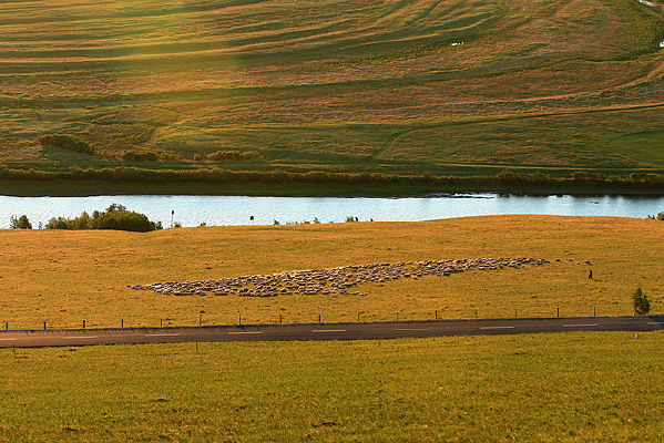 �ƻ�ʱ�Ĳ�ԭ�Ӱ���Ⱥ 