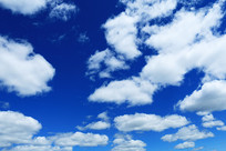 ������Ʒ羰