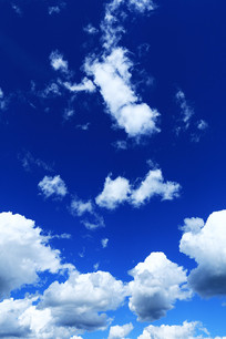 ������ƾ��� 