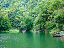 �Ͱ���Ͽ����Ȼ���