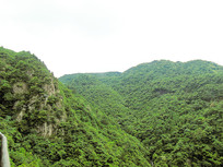 �Ͱ�ɭ�ֹ�԰��Ȼ����