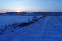 ѩԭũ��ĺɫ����