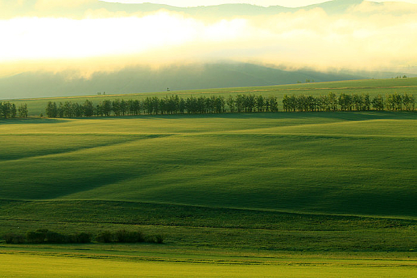 ��ɫũ�ﳿ�����