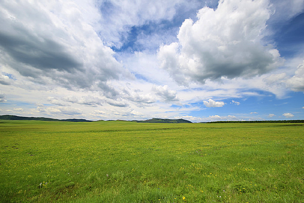 ��ԭ�������