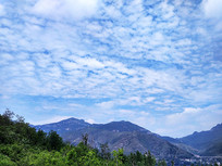 ��ɽ�ϵİ�ɫ�ƶ�