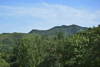 ���������ֺ�Զɽ