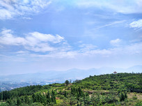 ��ɫɽ����������