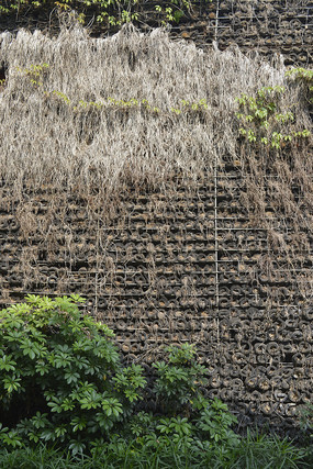 ��ή��ֲ��ǽ