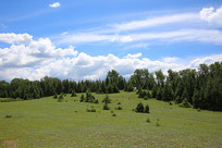 �ݳ��ϵ�����