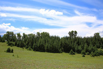 ��ԭ��������