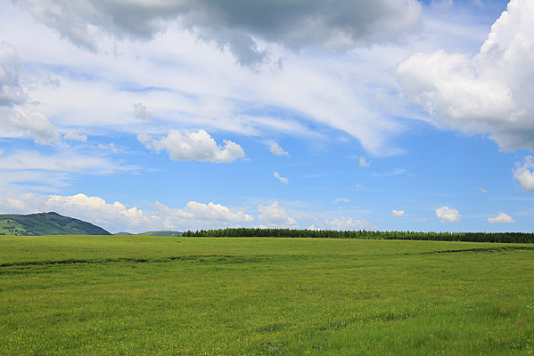 ��ԭ����ʢ���Ļ���