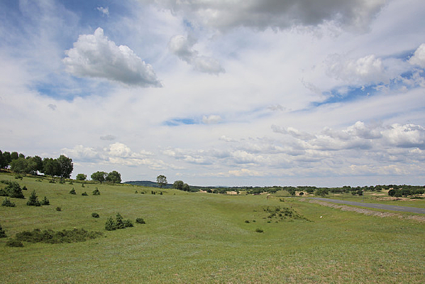 ��ԭɽ�µĵ�ò