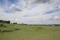 ��ԭɽ�µĵ�ò