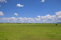 ����Ĳ�ԭ�ϵ�ţȺ