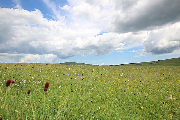 ��������Ĳ�ԭ��������