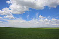 ��������µĲ�ԭ