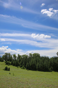 �����µ������̲ݵ�