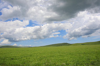 ��ɽƫҰ�Ĳݳ�����