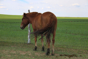 �����ɹ���