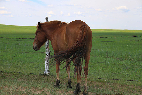 �����ɹ���