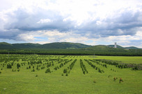 �˹��ֳ�������