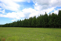 �����ӵ��ֳ��ݳ�