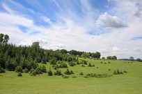 �����ӵ����ֲݵ�