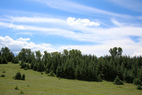 ���������ַ��