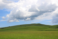 ɽ�µ��εĲݳ�