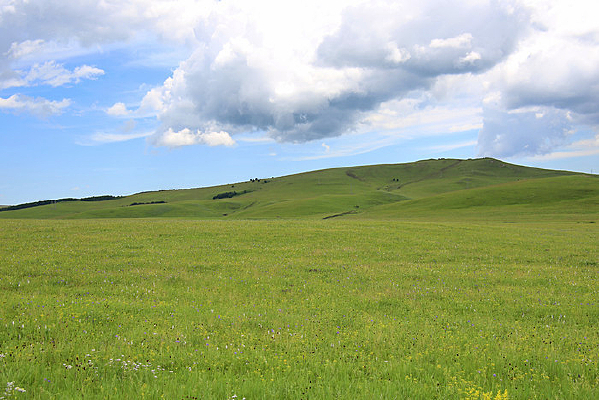 ʢ������Ĳ�ԭ����