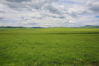 ʢ��������ޱ߲�ԭ