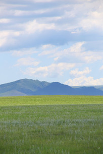 ������ͳ��ԭ���