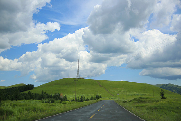 �Լ��ڲݳ�ɽ��