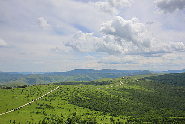 ��ԭ���µ�ò