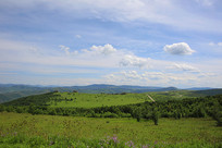 ��ʲ���ڲ�ԭ