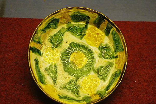 �����ʵ� �ɴ� 