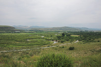 ���ɲ�ԭ��ò