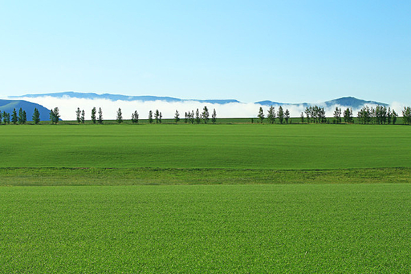 ��Ұ����