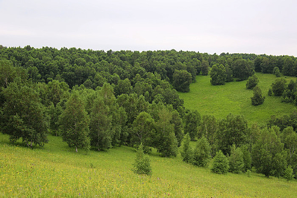 �����ֳ�