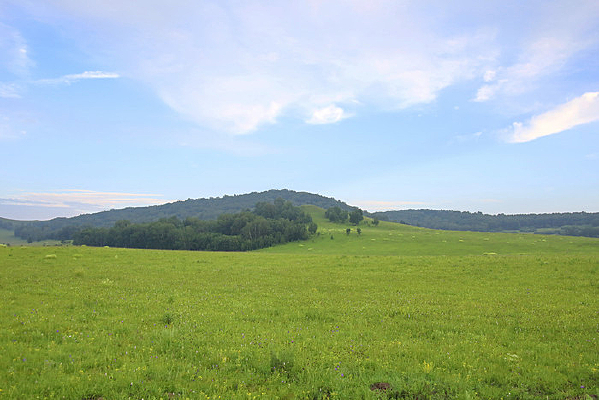 ��ԭ�ֳ�����