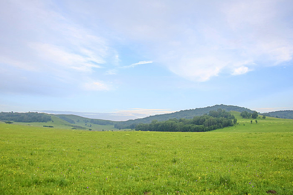 ��ԭ��������