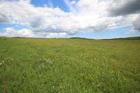 ��ԭ�ϵ��������