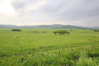 ���ԭ����