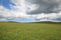 ����Ĳ�ԭ��Ũ��