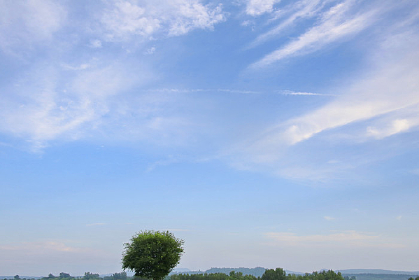 ����Ĳ�ԭС����