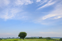 ����Ĳ�ԭС����